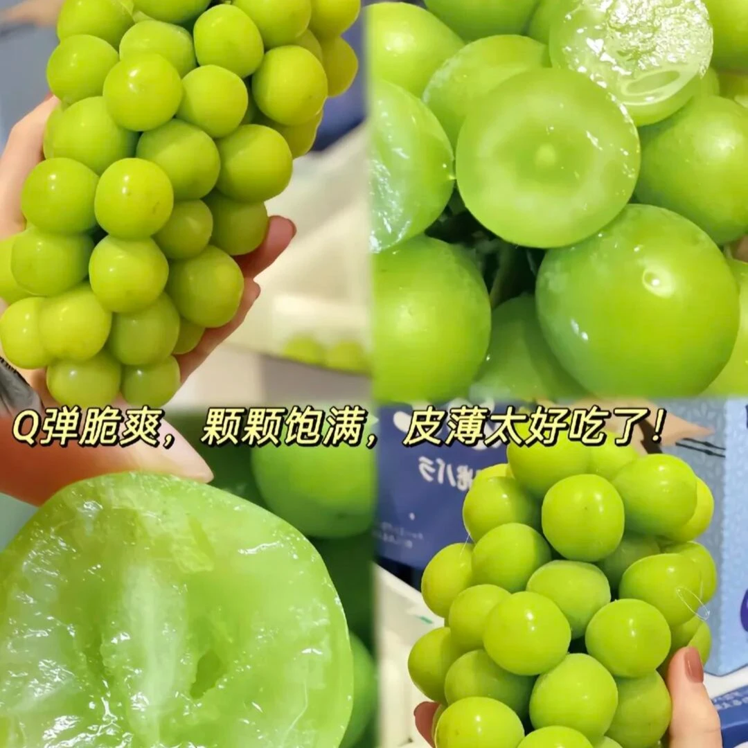 阳光玫瑰脆甜嘎嘎好吃（3斤装）
