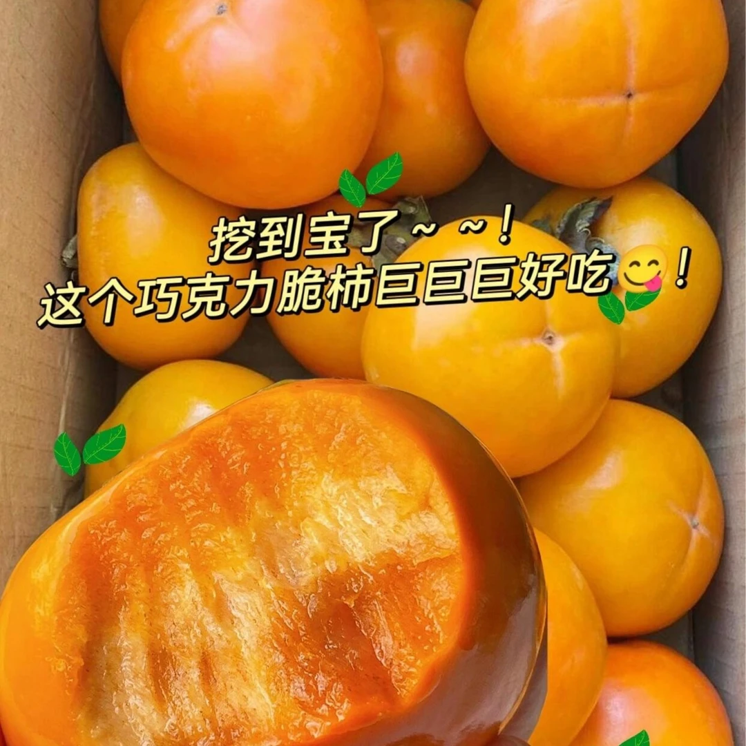 巧克力脆柿子！自带冰糖心脆如苹果甜如蜜瓜（四斤装）