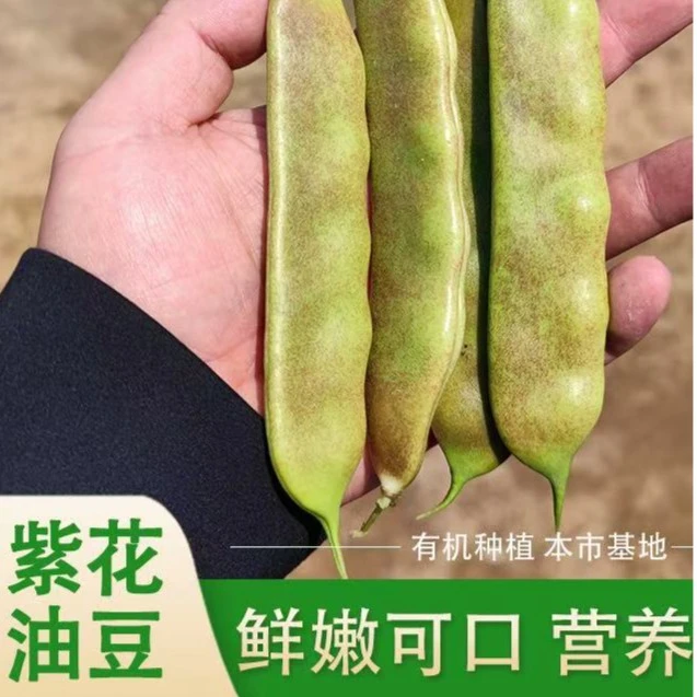 正宗东北紫花油豆角开锅烂无筋2斤【粉丝赠1斤】
