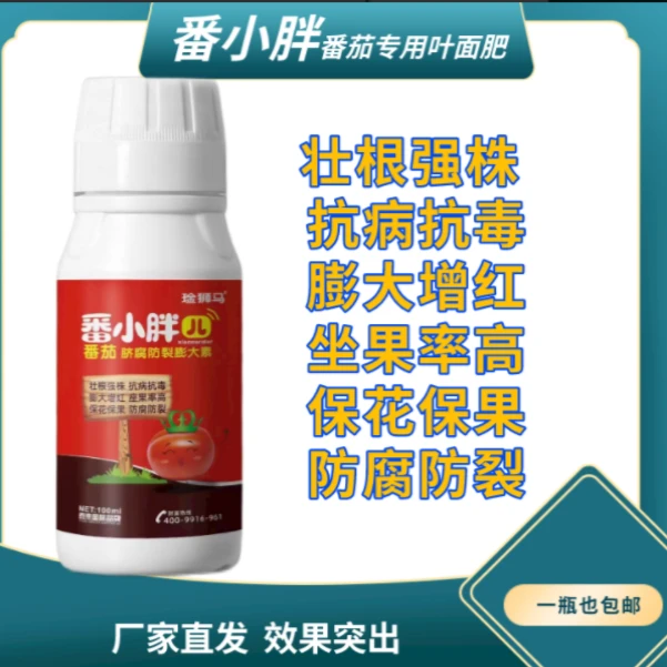 番茄西红柿膨大亮色增红抗病抗逆生根壮苗高产吸收