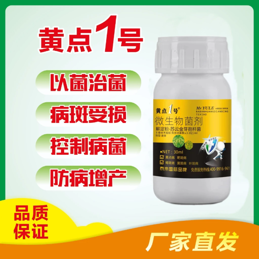 黄点一号 黄点靶斑叶斑 黄叶变绿 微生物菌剂叶面肥