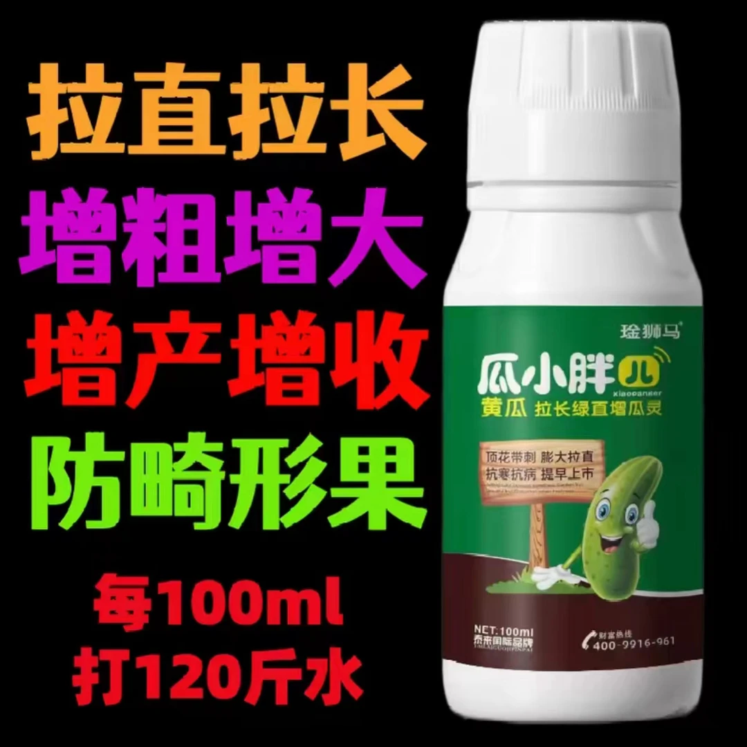 瓜小胖  黄瓜丝瓜 拉长拉直  改善弯瓜尖嘴大肚瓜 膨大拉长素