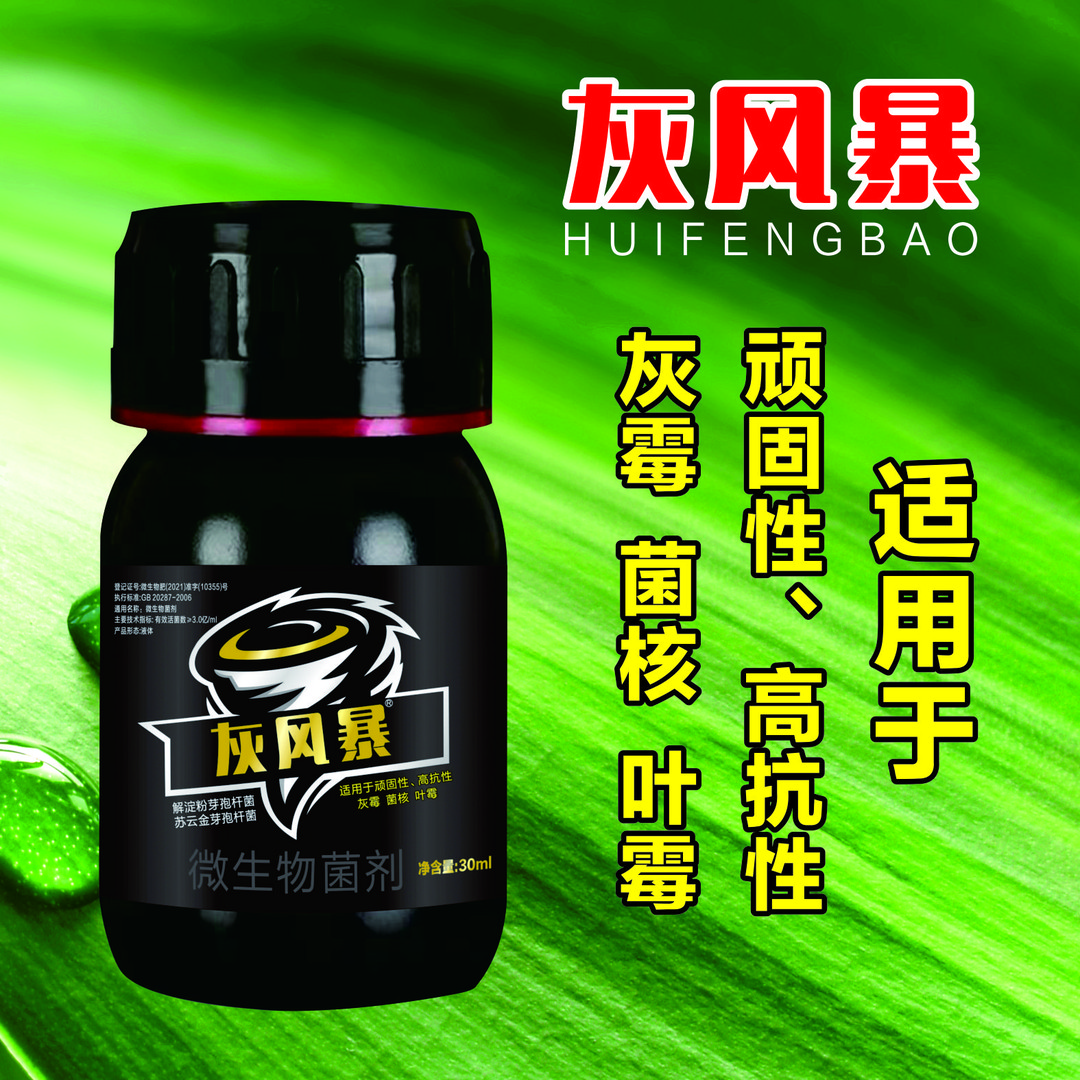 【灰风暴】灰霉病 菌核 草莓番茄黄瓜葡萄