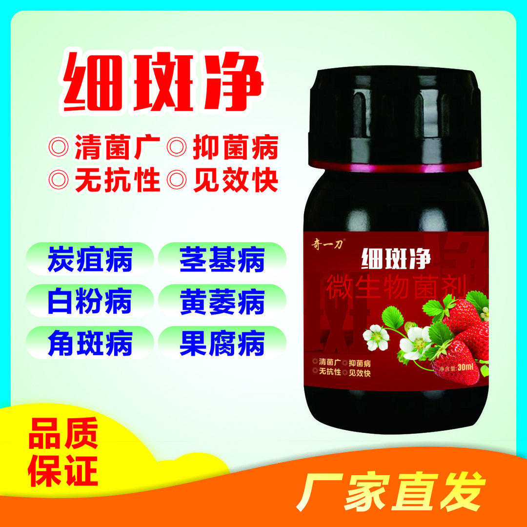 草莓细斑净 解淀粉芽孢杆菌  抗病增产修复 微生物菌剂 改善病害