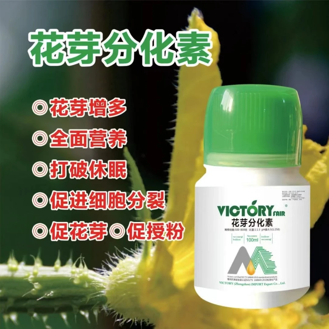 花芽分化素 草莓葡萄番茄授粉多开花现蕾 促花芽促进细胞分裂