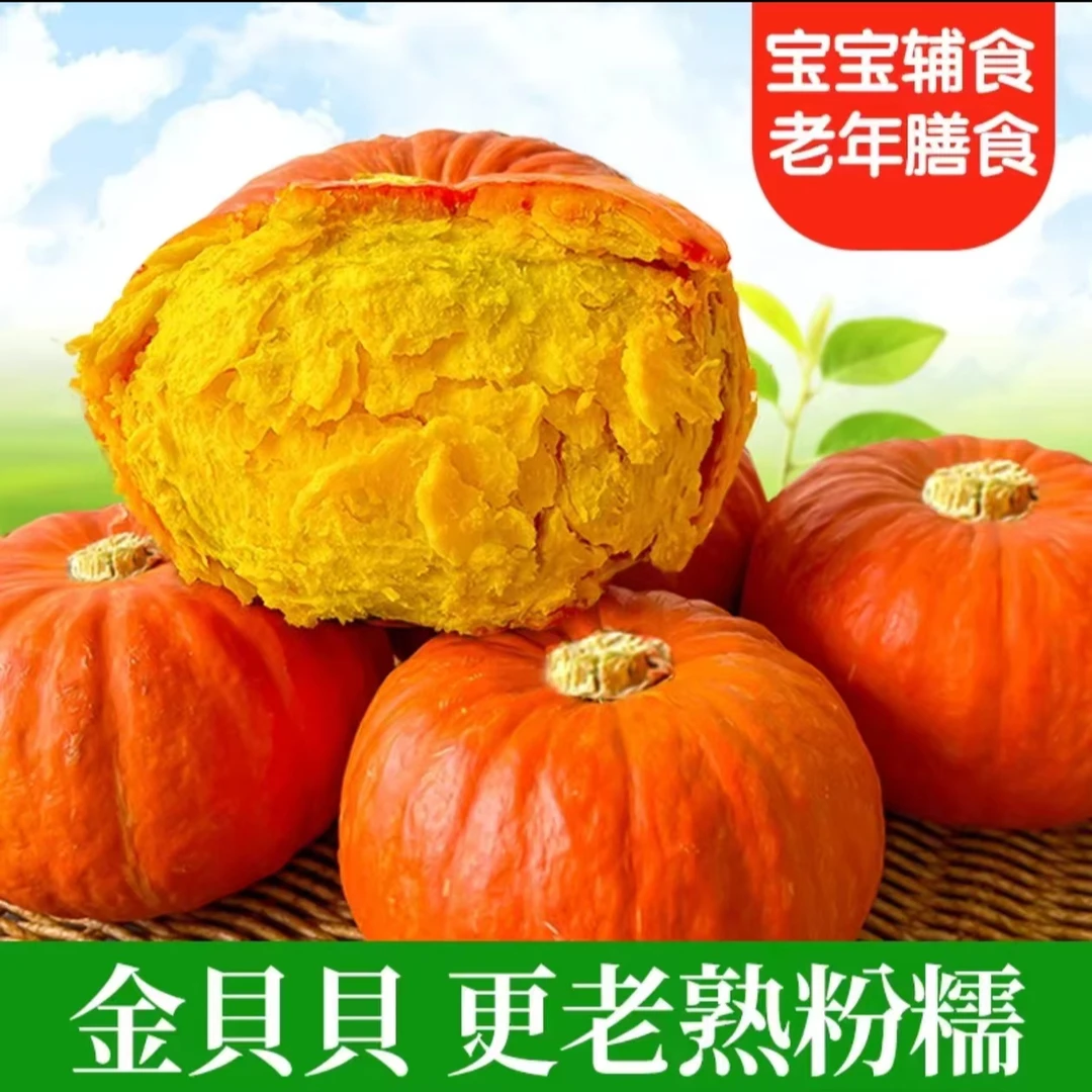 正宗潍坊金贝贝南瓜粉糯香甜宝宝辅食健康营养新鲜多种优选