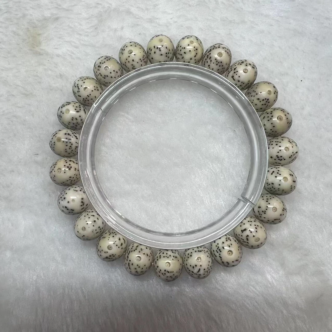 F1 10×8苹果珠单圈星月菩提海南原生态