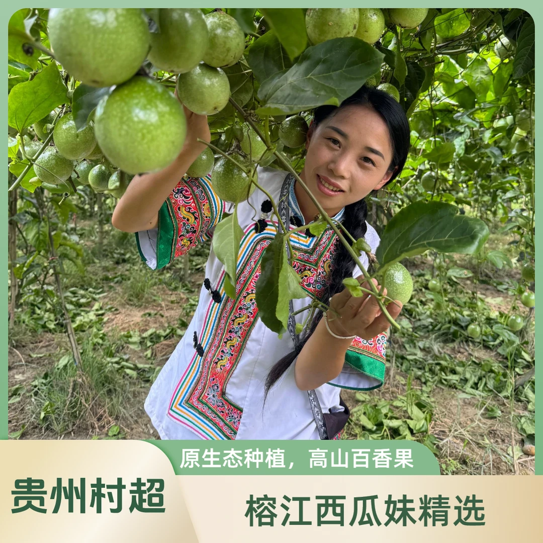 【中果5斤】百香果贵州村超高山钦蜜9号黄金百香果当季时令