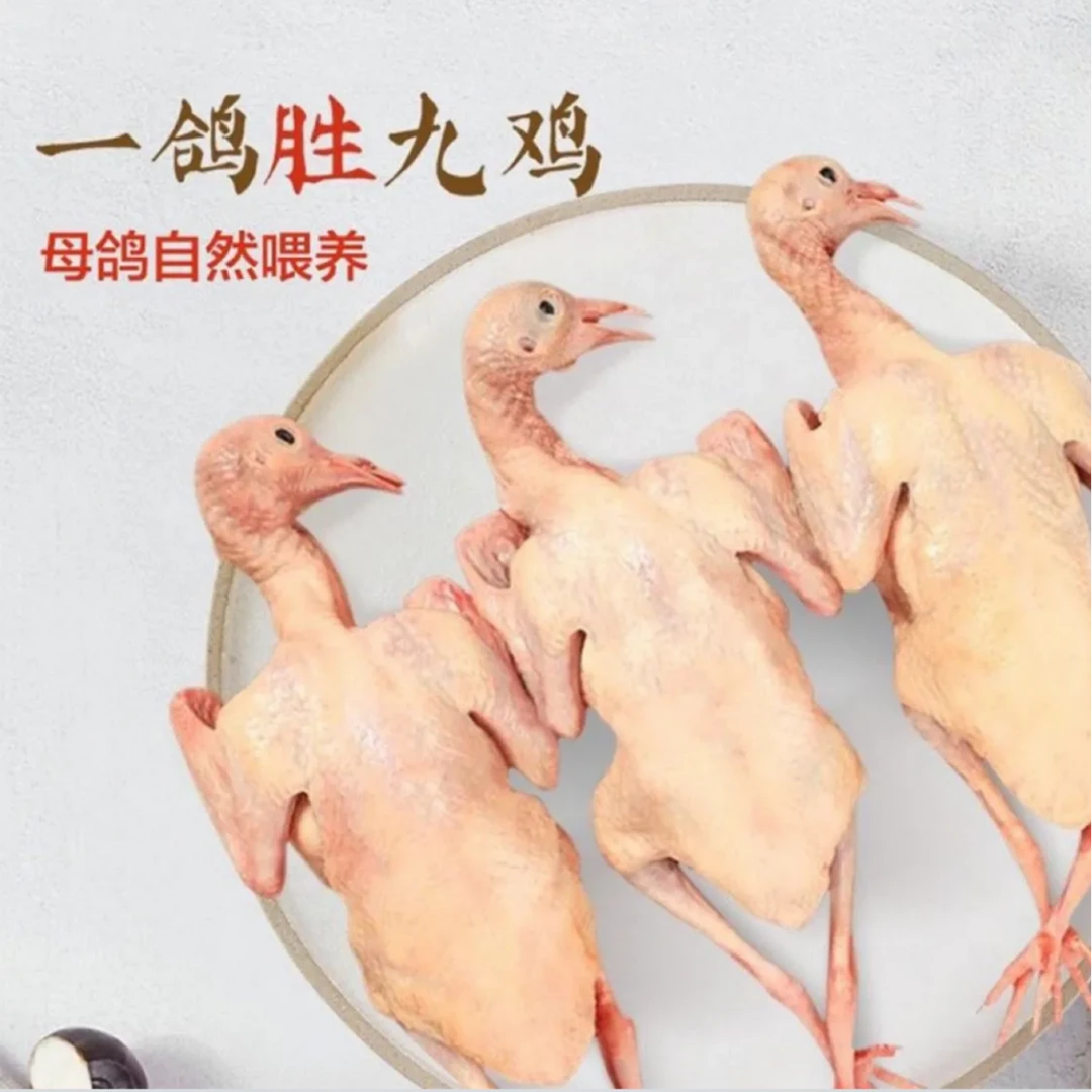 乳鸽带头带爪新鲜冰鲜乳鸽煲汤滋补土鸽农家散养乳鸽肉1只/500g±