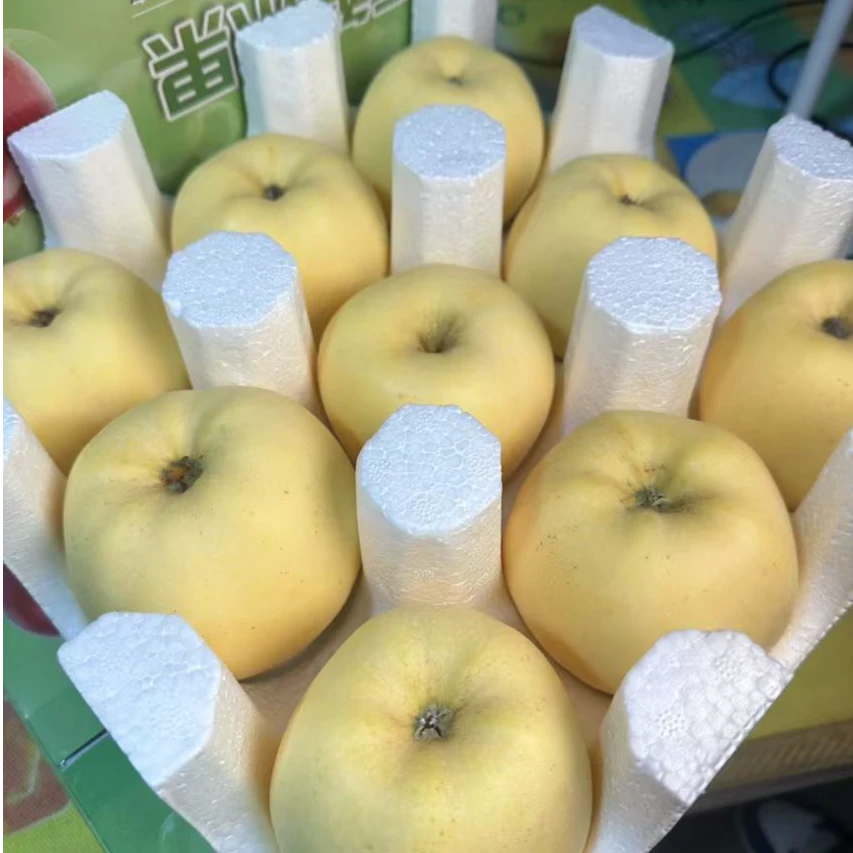维纳斯黄金苹果大连特产