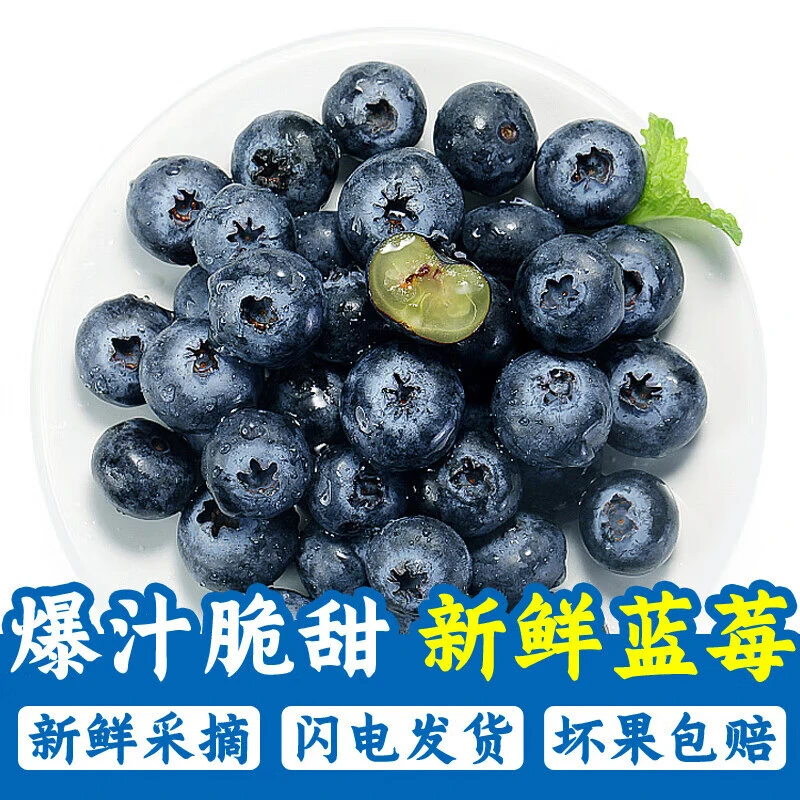 李享食丰云南蓝莓 国产新鲜大蓝莓 当季时令蓝莓水果生鲜125g/盒