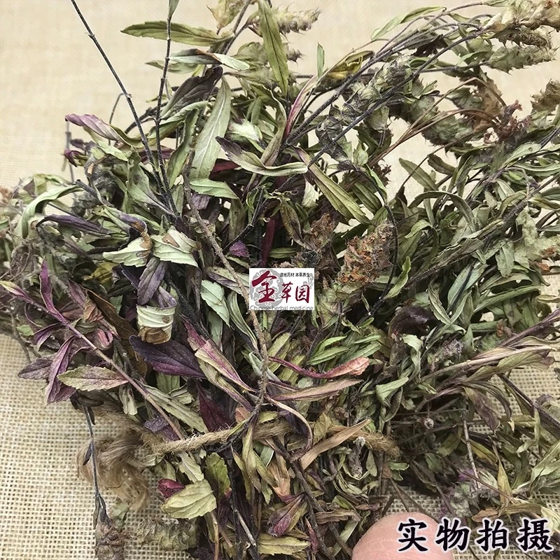 云南野生小山茶 野山茶 东紫苏梭罗 无硫烧烤必备降火
