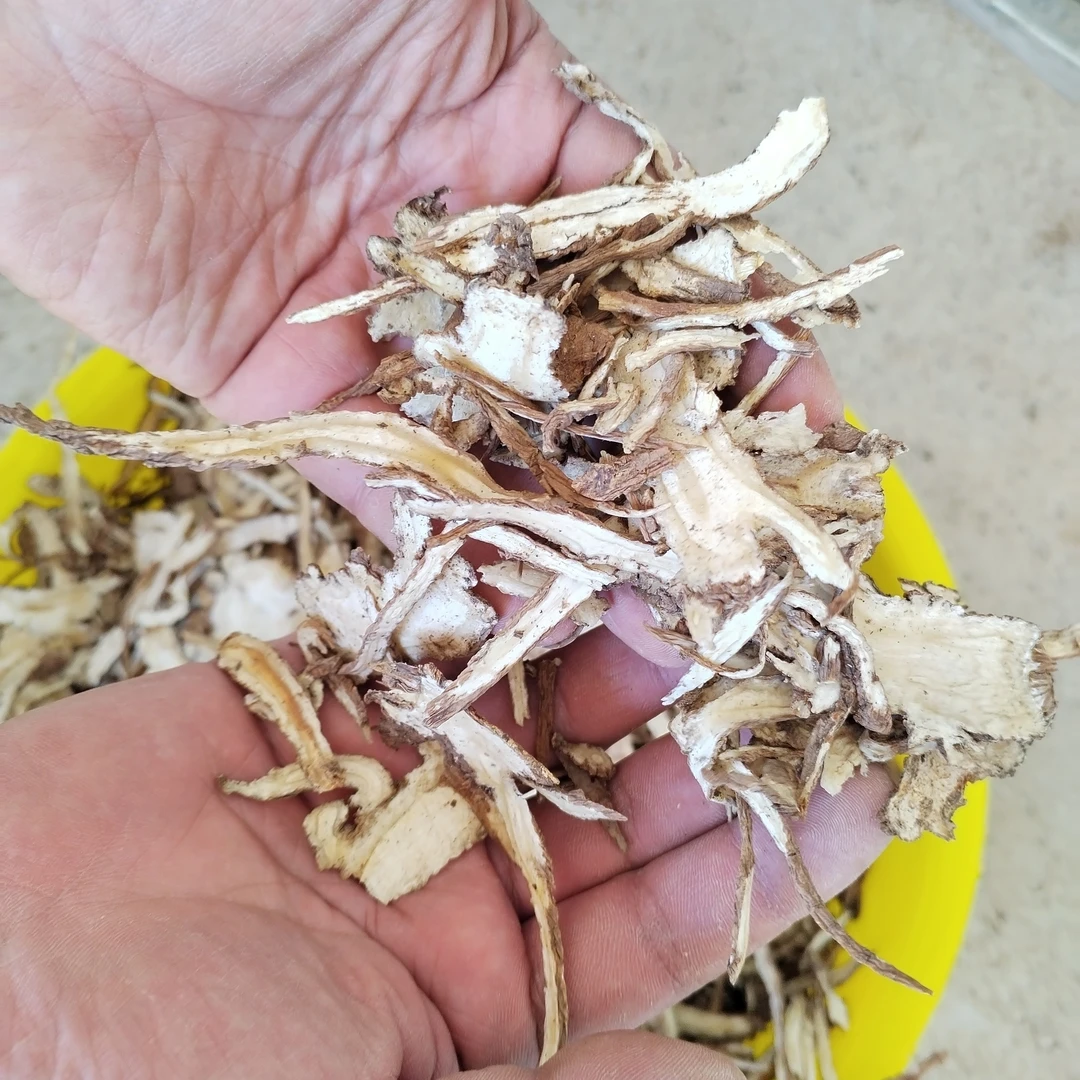 全当归切片精选，