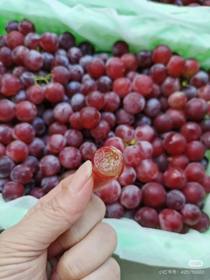 【同城配送】新疆火焰蜜葡萄一筐