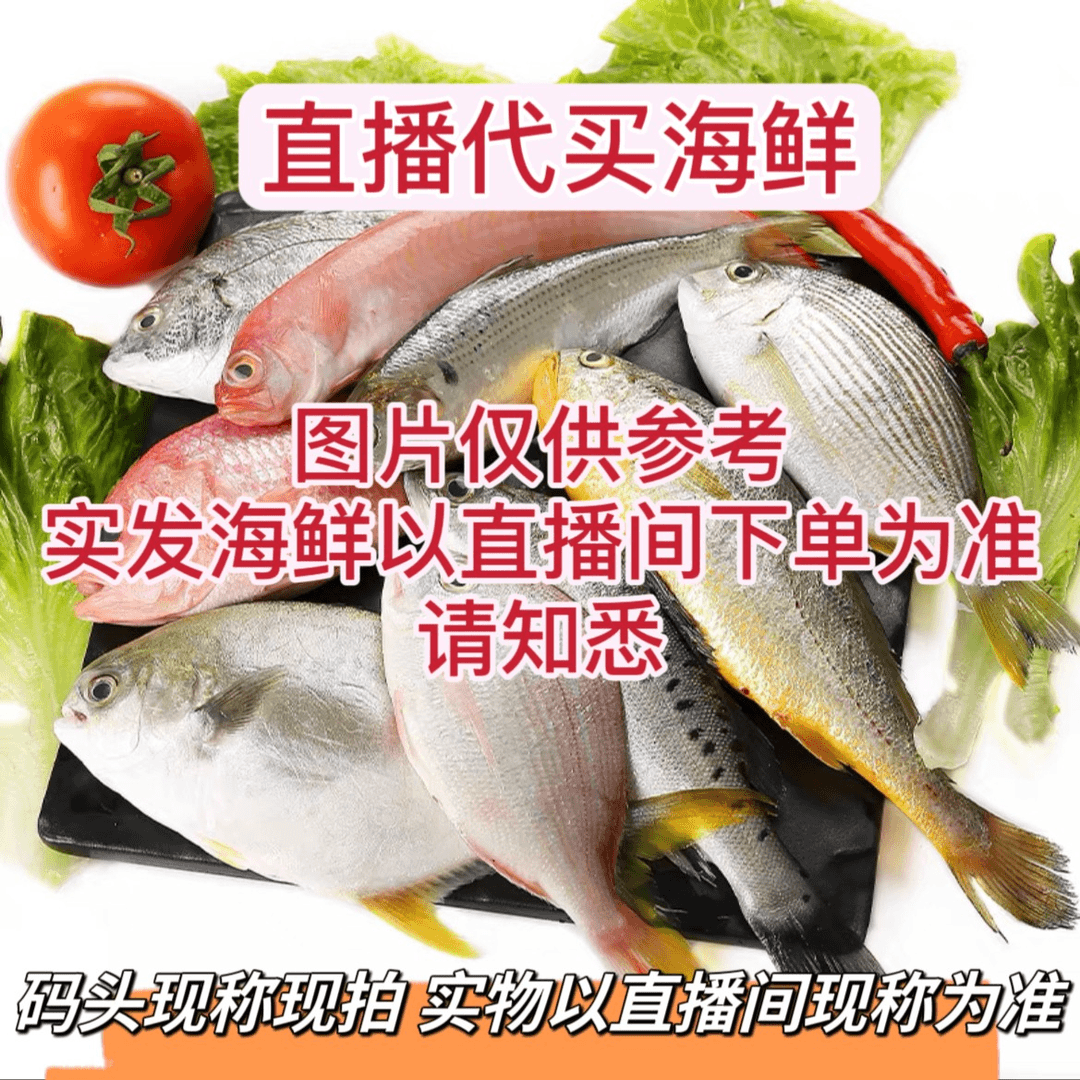 【红萱】北海海捕杂鱼④(直播代买海鲜，现称重，现场改价链接)