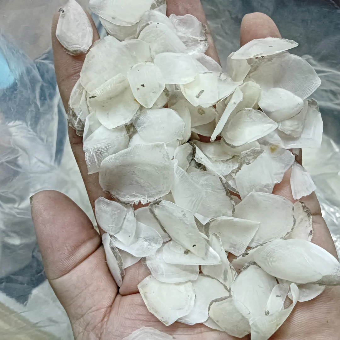 本港正宗鱼鳞，营养丰富菌汕头海干货1～500g