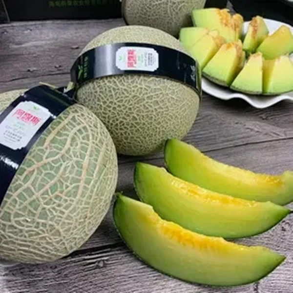 【箱】阿露斯软肉蜜瓜5颗/箱带箱12.5斤左右仅限太原六城区榆次购买