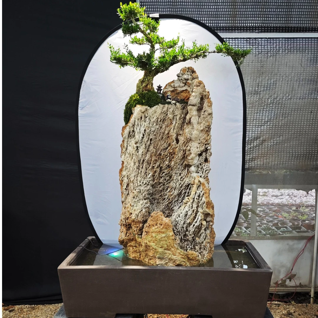 精品吸水石一物一拍