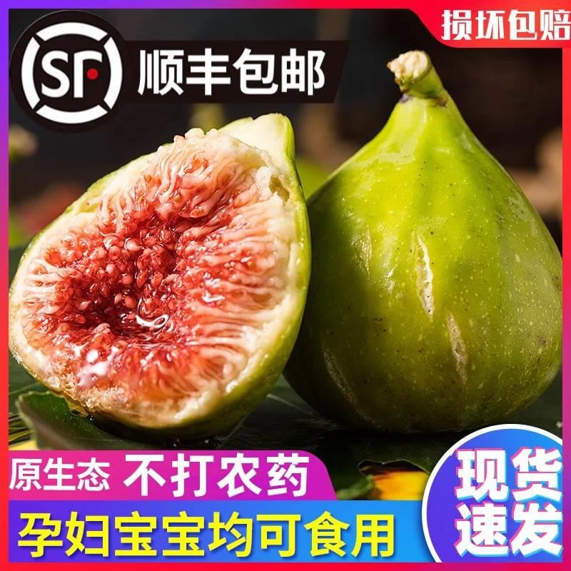 山东威海特产新鲜青皮无花果鲜果应季孕妇水果甜糯大果现摘顺丰5