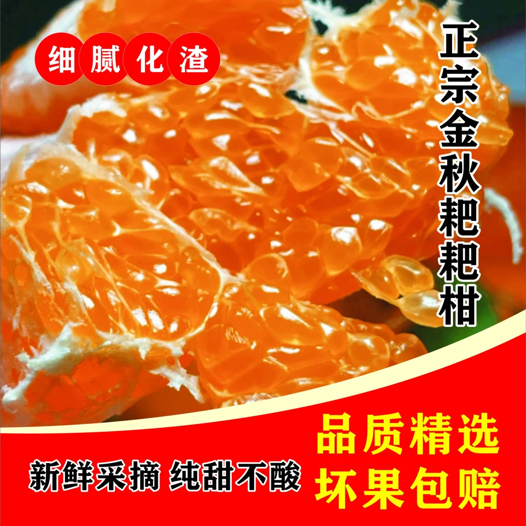 【金秋耙耙柑】四川正宗金秋耙耙柑5/8斤爆甜多汁细腻化渣坏果包赔