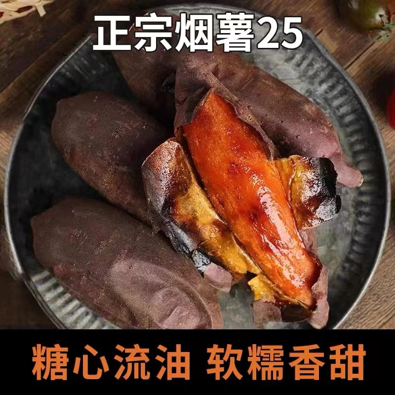 【咩咩专属】山东正宗烟薯 净重4.5斤装  现挖现发