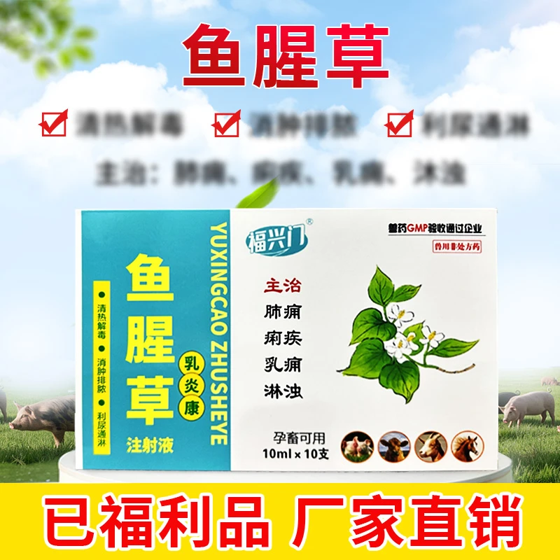 养殖场专用产后鱼腥草注射猪牛羊用于清热解毒产后消炎鱼腥草