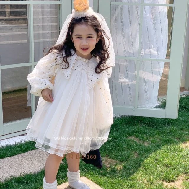 Q2-AF23115高端专享TGG绣花面料纱纱裙紫色