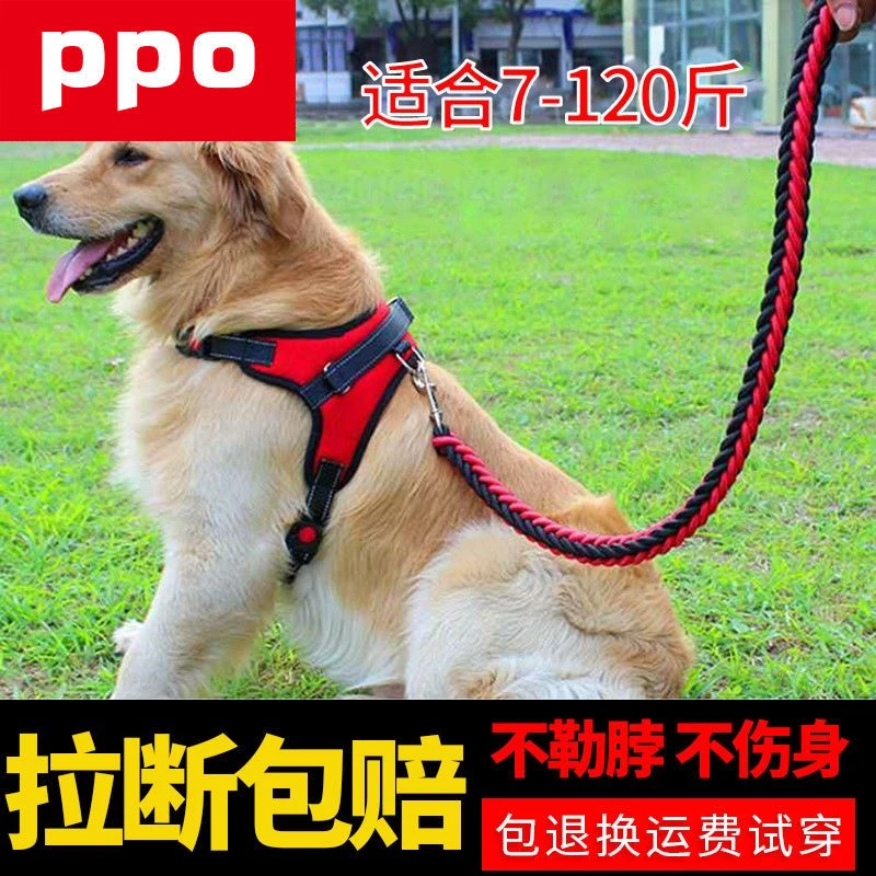 胸背带背心式宠物用品狗狗牵引绳中型小型犬遛狗绳子柯基泰迪狗链