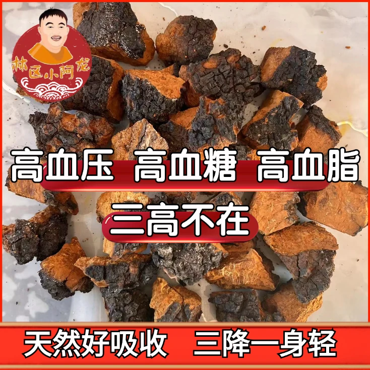 深山桦树茸500克（精品小块）XY