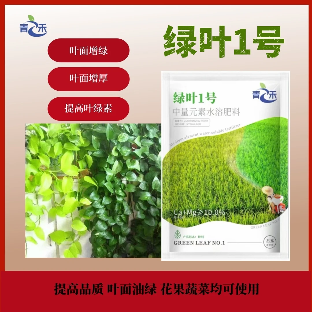 绿叶1号叶绿素中量元素水溶肥叶面肥厚花卉绿植瓜果蔬菜通用发黄