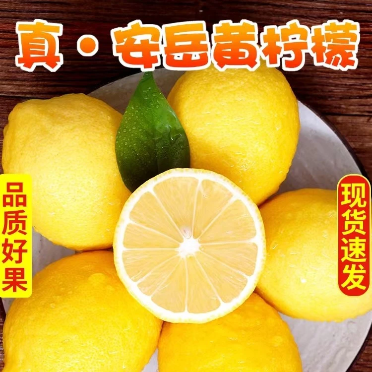壹柠四川安岳黄柠檬果园原产采摘新鲜农产品浓郁皮薄多汁坏果包赔