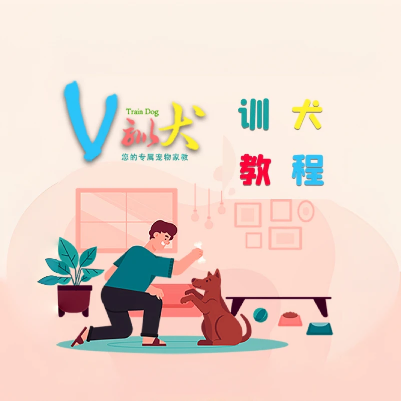 家庭养犬必备训犬教程