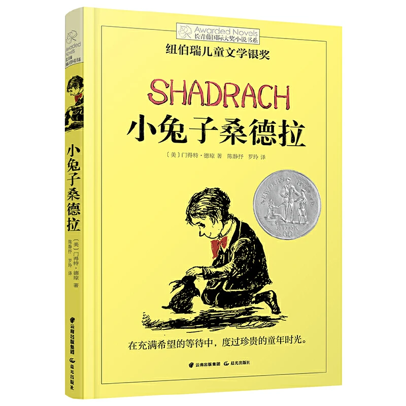 【当当】长青藤国际大奖小说书系：小兔子桑德拉