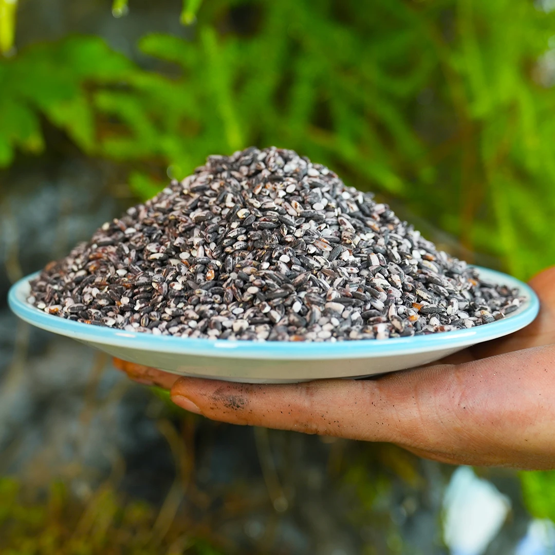 【高杆黑糯米】贵州特产惠水优质营养浓郁血糯米米农家高原稻米粮食