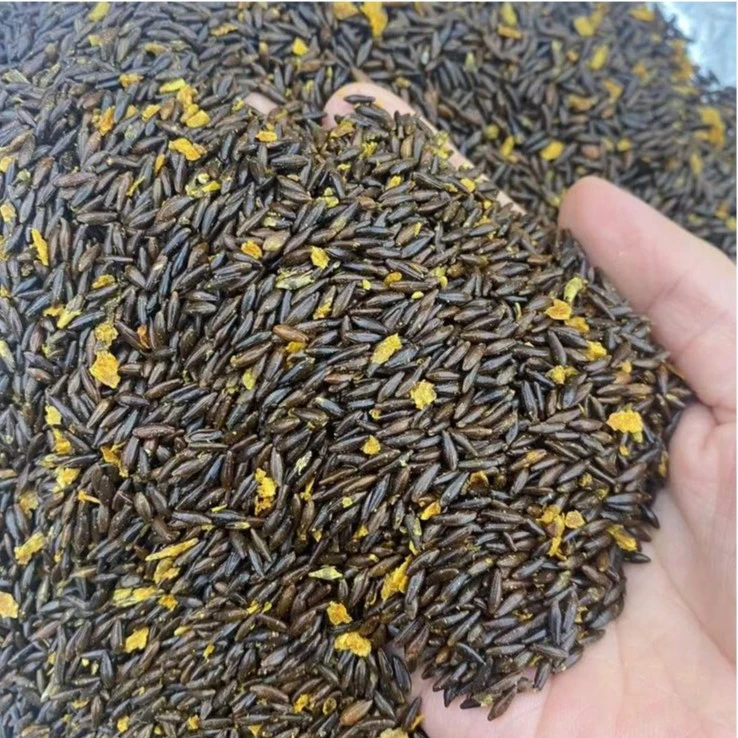 沙棘籽500克