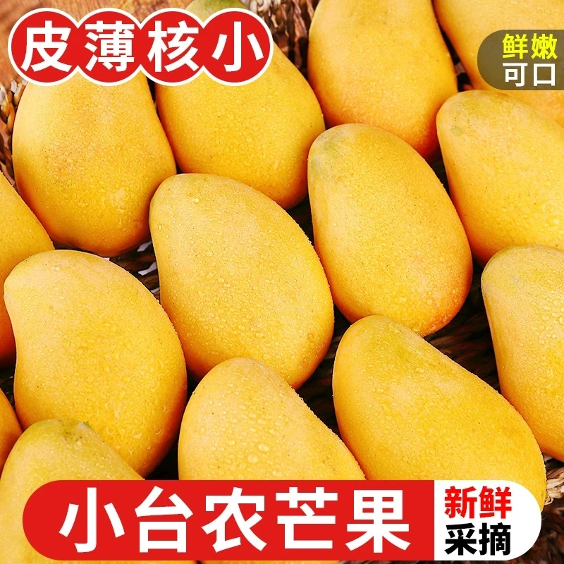 新鲜现摘海南小台农芒果当季水果香甜多汁批发包邮崔熟食用芒果