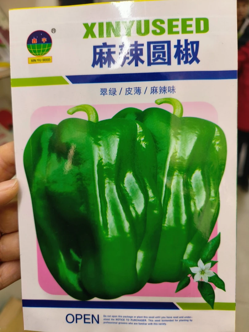 麻辣圆椒种子辣椒