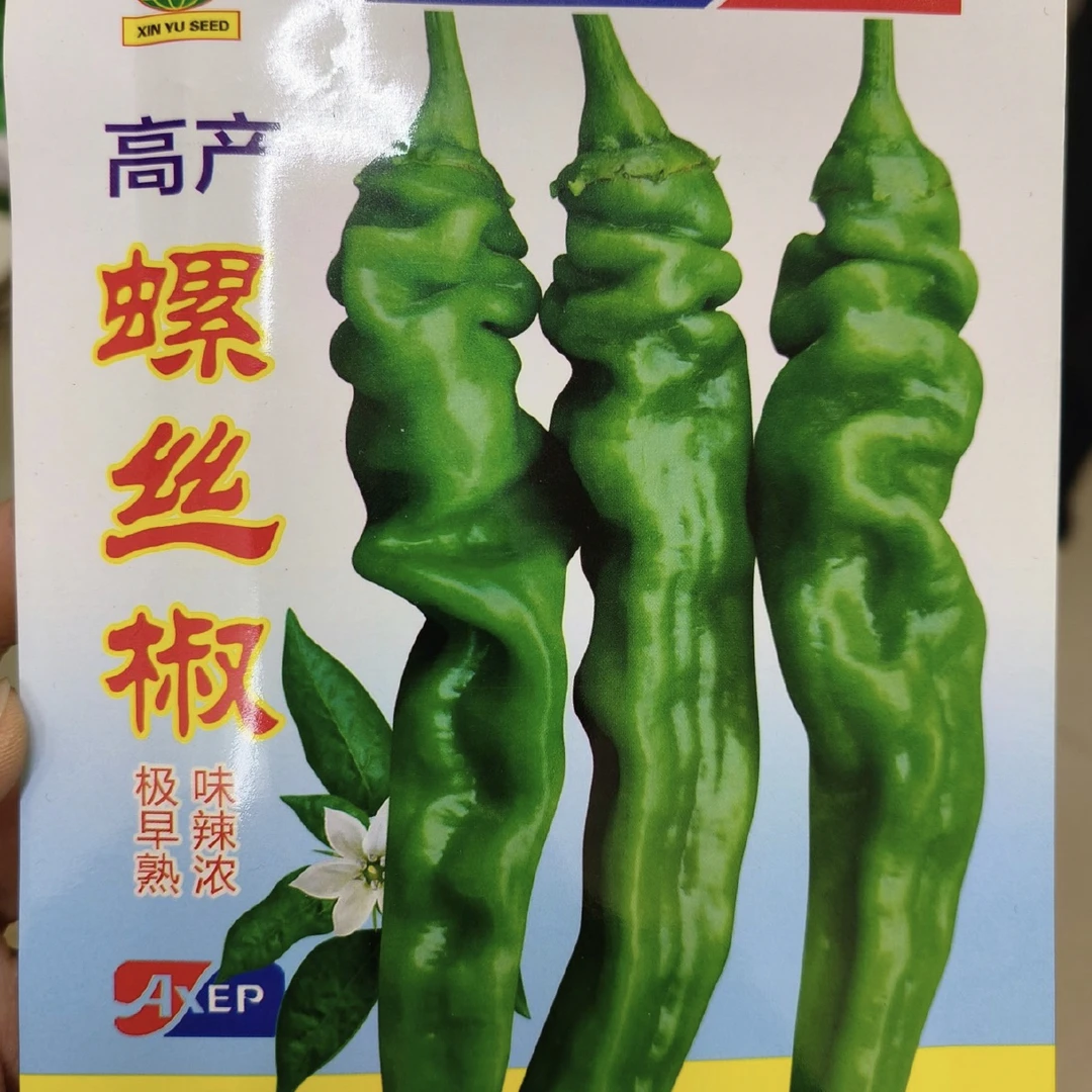 高产螺丝椒辣椒种子