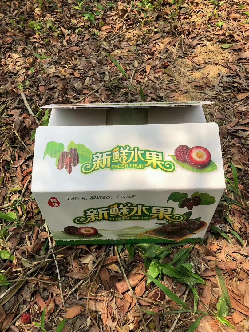 金灶正宗软丝杨梅，口感甜，约5斤装