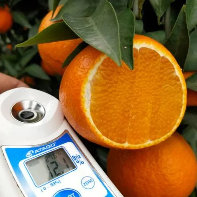 四川爱媛38号手剥果冻橙新鲜水果5斤现摘包邮