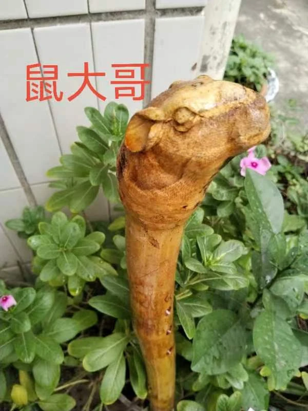 华龙笛箫文明杖手工制作鼠