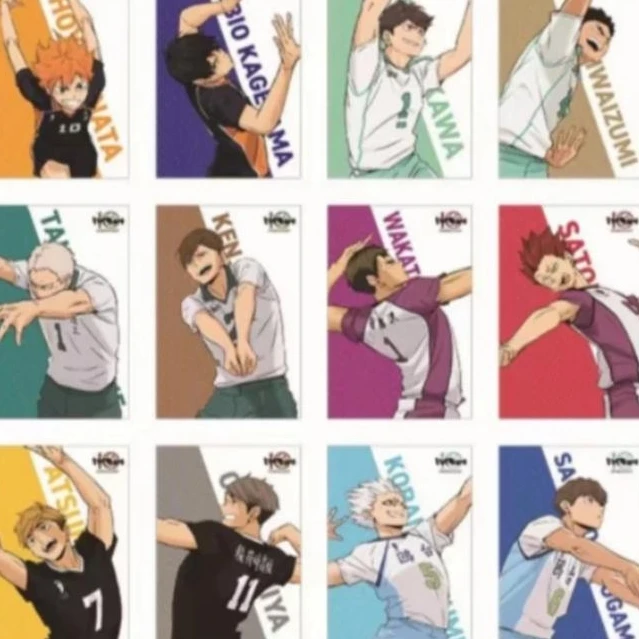 【排人谷屋】排球少年mochocho十周年场贩明信片(默认代拆）正版