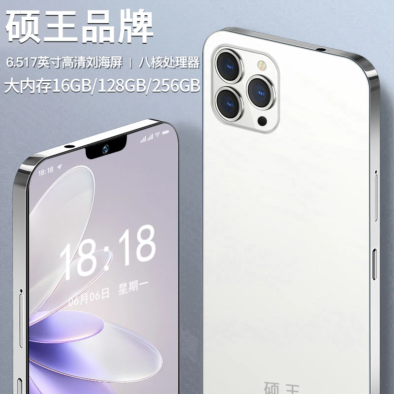 【夏厂长专属】全新未拆封全网通手机硕王X16pro双卡双待