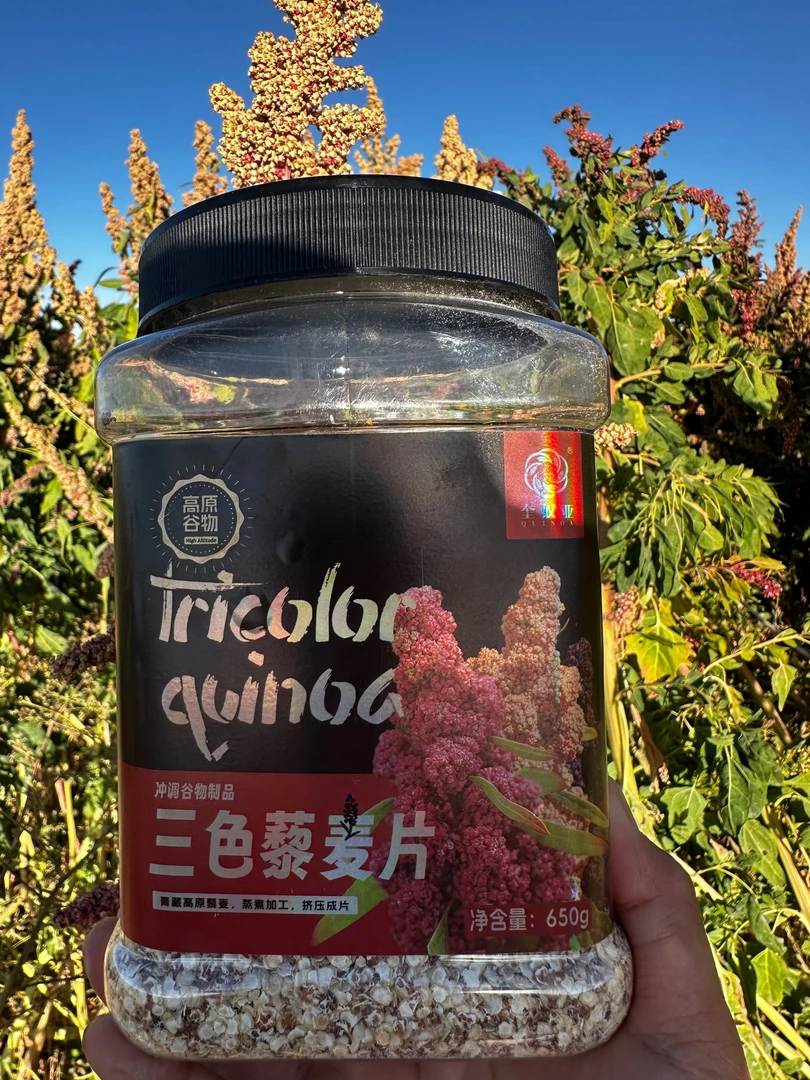 青海正宗藜麦格尔木藜麦农场自产自销天然全营养健康谷物早餐醇香