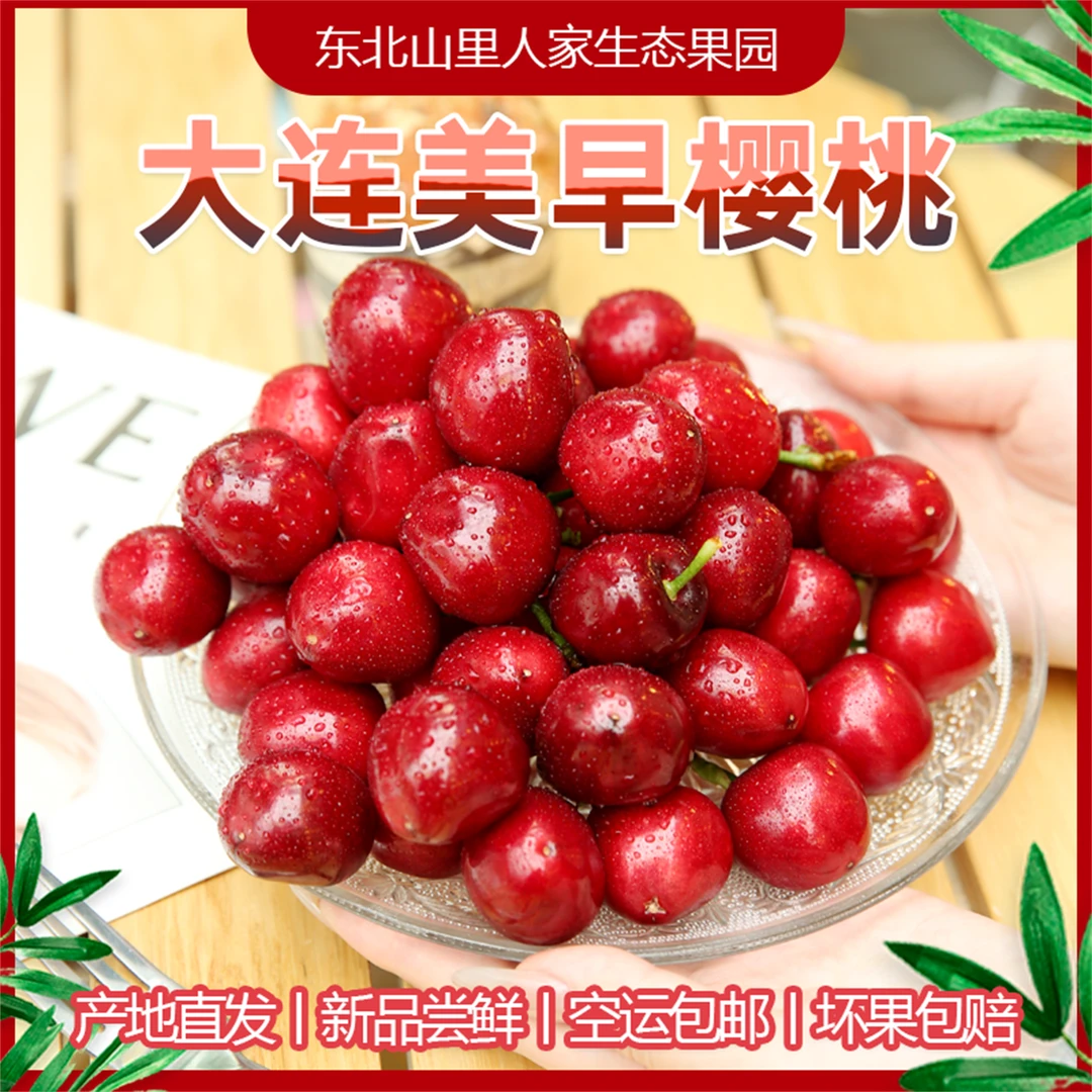 大连樱桃美早脆甜多汁顺丰空运新鲜现摘1J-5J-2.8斤 内附果径卡