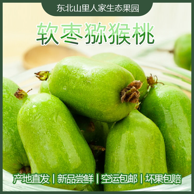 Z【变软再吃】丹东特产新鲜绿心猕猴桃香甜好吃软枣猕猴桃顺丰包邮