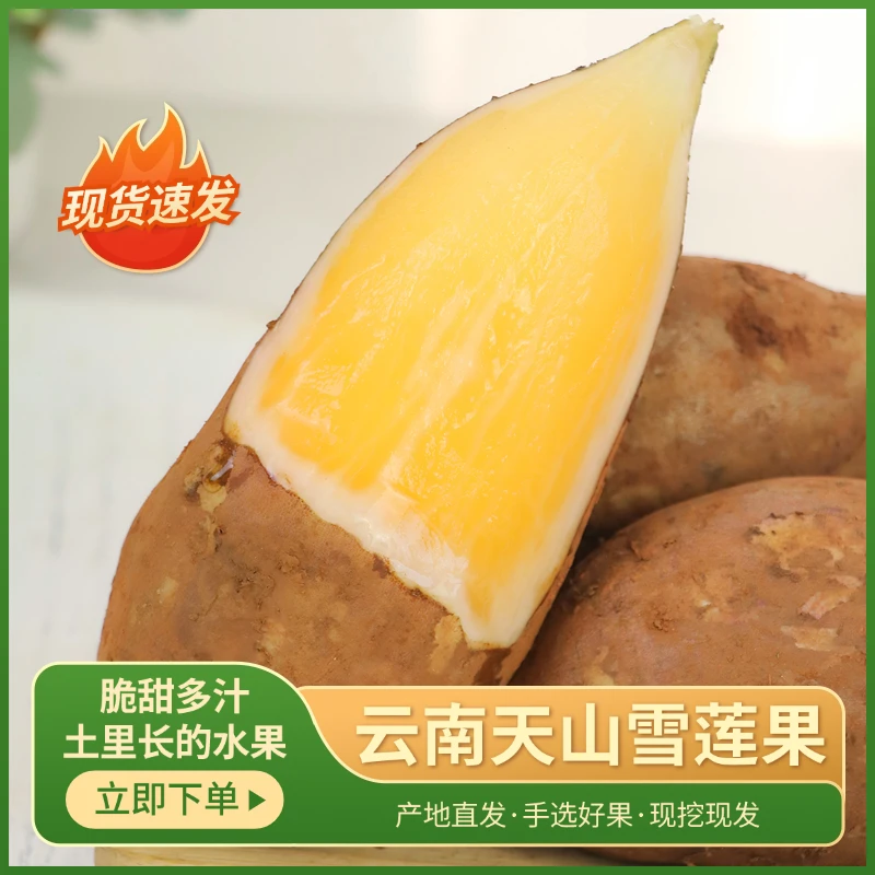 云南天山雪莲果带箱5斤【坏果包赔】脆甜多汁高山种植新鲜现挖现发