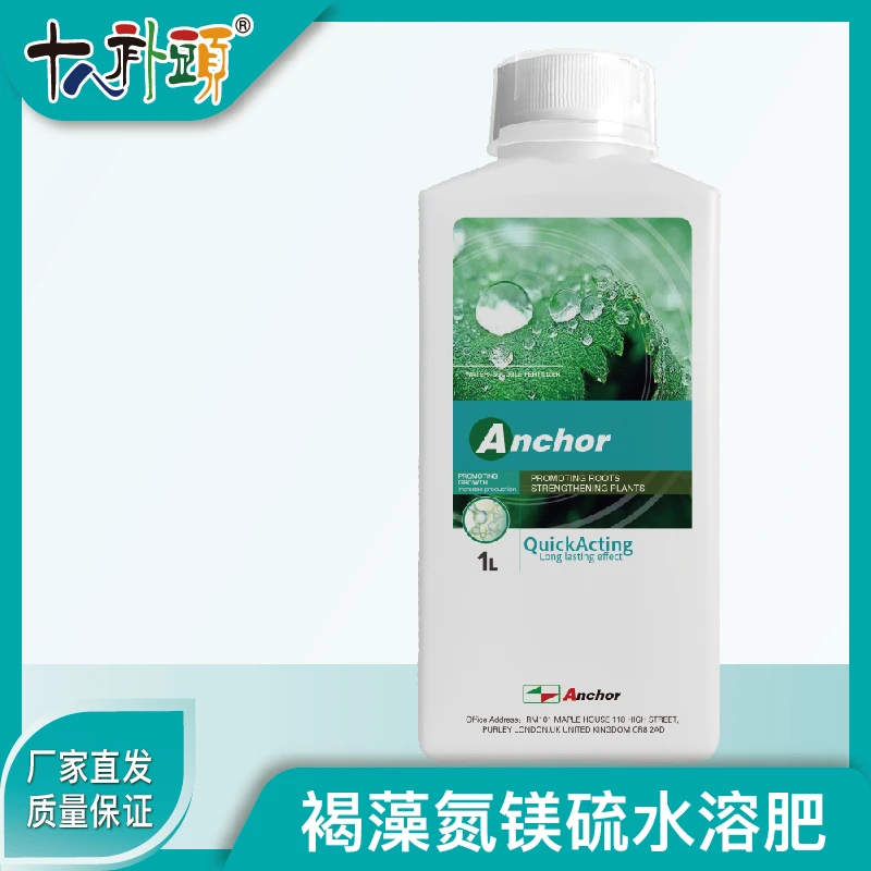 褐藻氮镁硫强力生根快速绿叶壮株促长防小叶黄叶花叶斑点膨果增产