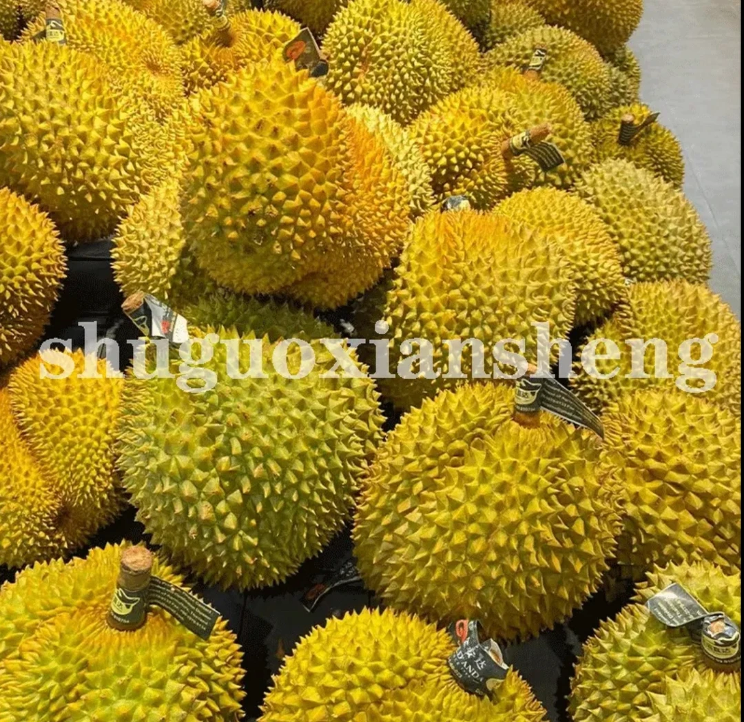 泰国金枕榴莲 4-5房（默认扒肉.整果备注）