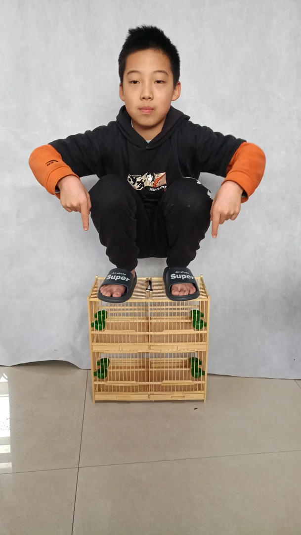 玉鸟绣眼贝子柳莺黄腾文鸟黄鸟四格排笼40*22*40厘米1.0至1.1丝距